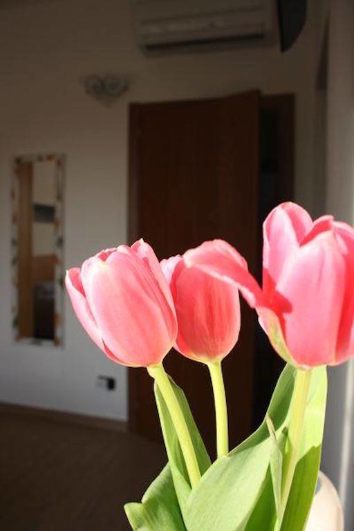 I Due Orfici Bed & Breakfast Cona  Dış mekan fotoğraf