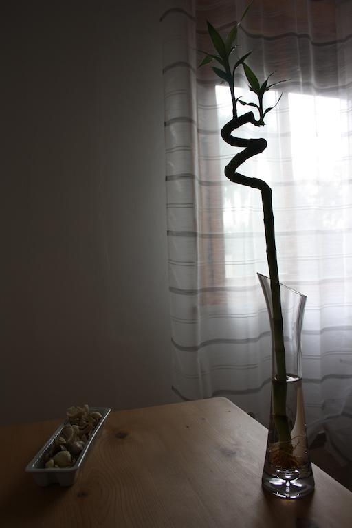 I Due Orfici Bed & Breakfast Cona  Dış mekan fotoğraf